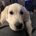 David Remmers - Facebook