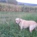 David Renk - Facebook