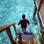 David Renk Travels - @david.renk.travels - Instagram