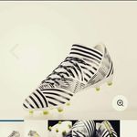 David Renko - @renkodavid - Instagram