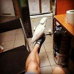David Renner - @d.renner_ - Instagram