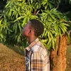 Davidrich - @davidrich.2 - TikTok