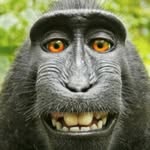 DavidRiehle - @davidriehle8 - Instagram