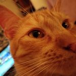 David Alan Rieker - @drieker27 - Instagram