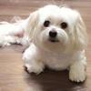 David Riffle - @david.riffle2 - TikTok