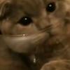 David Rigo - @david.rigo8 - TikTok