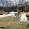 David Riner - @dnriner - TikTok