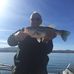 David Risinger - Facebook