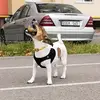 Hello - @davidrivals1 - TikTok