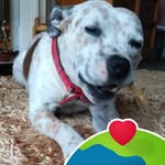 David Roadhouse - @dr.6.31 - Instagram