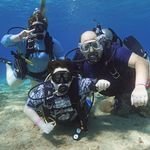David Roback - @davidroback - Instagram