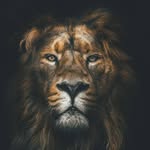 David Robben - @meier5947 - Instagram