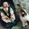 davidroberge90 - @day.day909 - TikTok