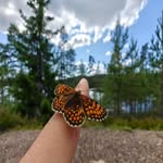 David Robert - @bullerbue_david - Instagram