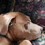 David Robidoux - @imagodur2 - Instagram