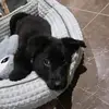 David Roca🍞 - @david.roca_ - TikTok