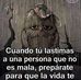 David Roca - Facebook