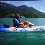 David Rocamora - @d.rocamora - Instagram