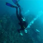 David Rochford - @rochford.david - Instagram