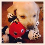 David Rockett - @letascan - Instagram