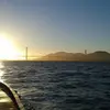 davidrodani - @davidrodani - TikTok