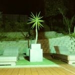 david rodarte - @rodarte4460 - Instagram