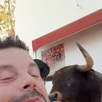 David Rohm - @david_271281 - Instagram
