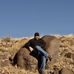 Dave Rohr - Facebook