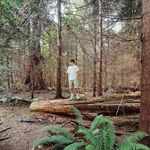 David Rohrmoser - @david_rohrmoser - Instagram