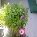 David Rolle - Facebook