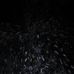 David Rolle - Facebook