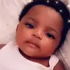 David Rolle - @davidrolle1 - TikTok