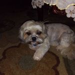 David Rosello - @david.rosello.3956 - Instagram