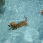 David Rosello - @drosello1 - Instagram