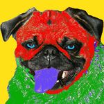 David Rotenberg - @berkeleywinedog - Instagram