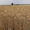 David_E._Rothblatt - @ddavid_e._rothblatt - TikTok