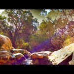 @david_roudebush - Instagram