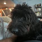 David Routt - @routt2621 - Instagram