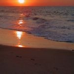 David Rowles - @drowles47 - Instagram