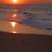 David Rowles - Facebook