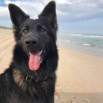 David Roxby - @roxbyd - Instagram