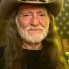 David Roxy - @david.roxy - TikTok