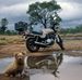 David Royle - Facebook