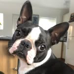 David Royle - @royle1252 - Instagram