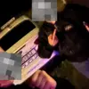 roža - @david..roza - TikTok