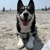 David Ruberti - @david.ruberti - TikTok