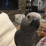 David Rubinsky - @drubinsky71 - Instagram