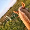 david_ruhl - @david_ruhl - TikTok
