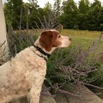 David Ruhl - @david.ruhl.h - Instagram