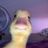 davidrunga358 - @davidrunga358 - TikTok